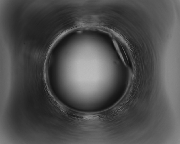 X0000097951440200803241145