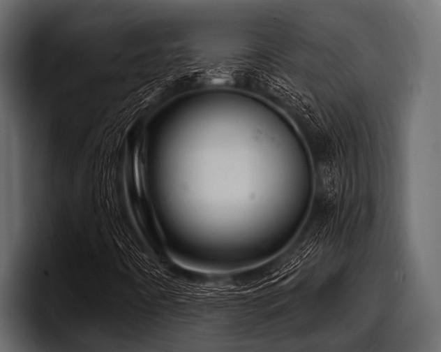 X0000097951442200803241144