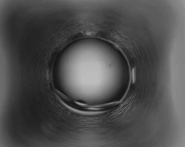 X0000097951443200803241144