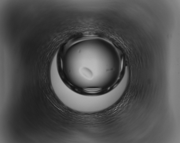 X0000097951444200803241144