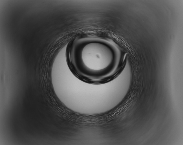 X0000097951445200803241144