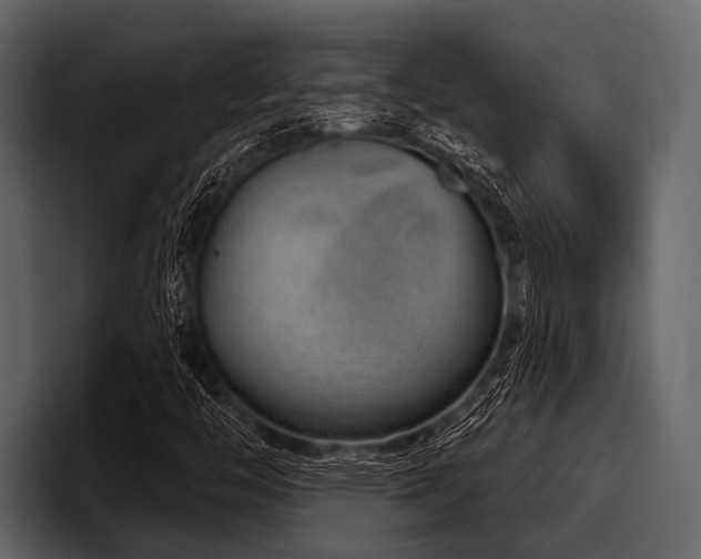X0000097951446200803241144