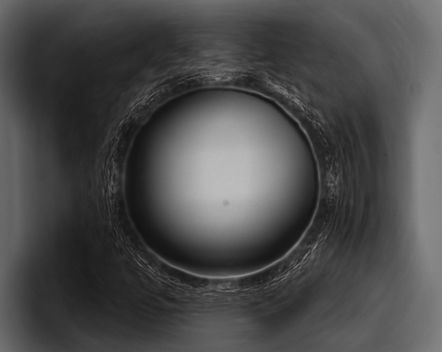 X0000097951447200803241144
