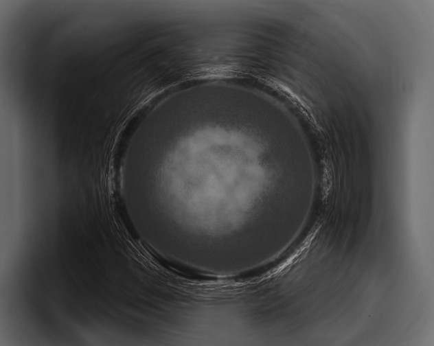 X0000097951449200803241144