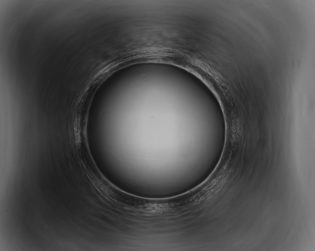 X0000097951451200803241144