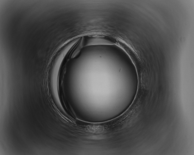 X0000097951452200803241144