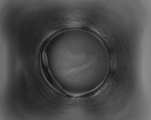 X0000097951453200803241144