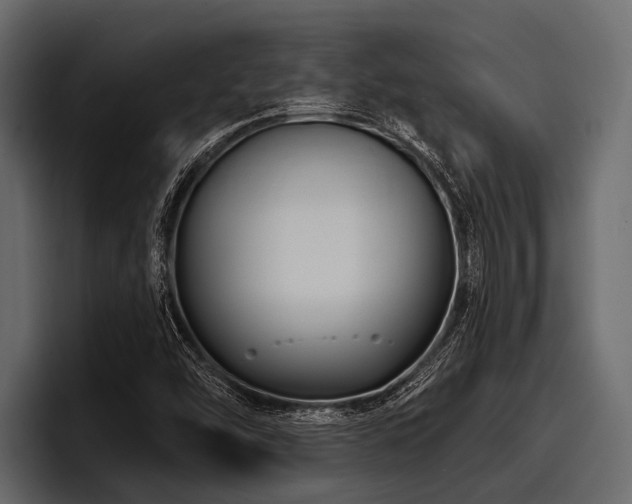 X0000097951454200803241144