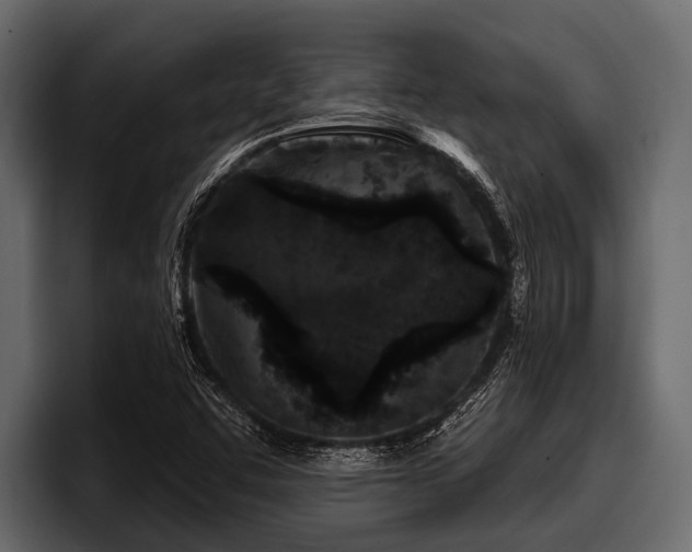X0000097951455200803241144