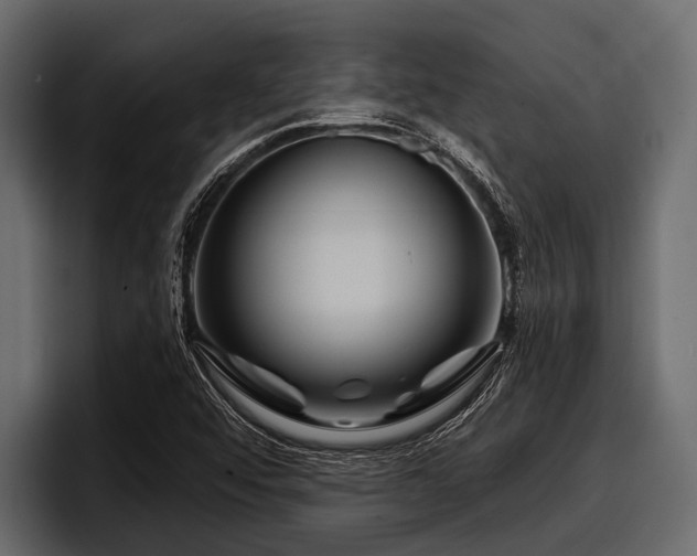 X0000097951456200803241144