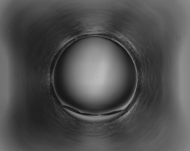 X0000097951457200803241144