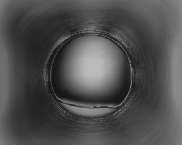 X0000097951458200803241144