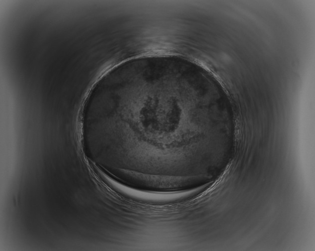 X0000097951459200803241144