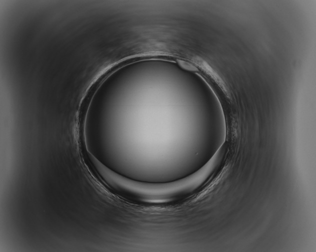 X0000097951460200803241144