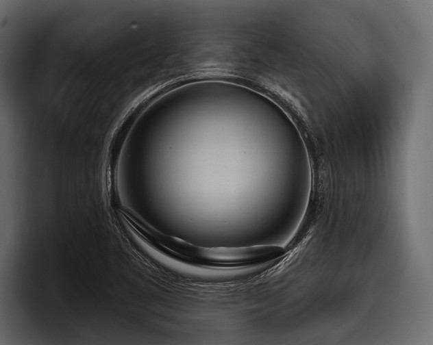 X0000097951461200803241144