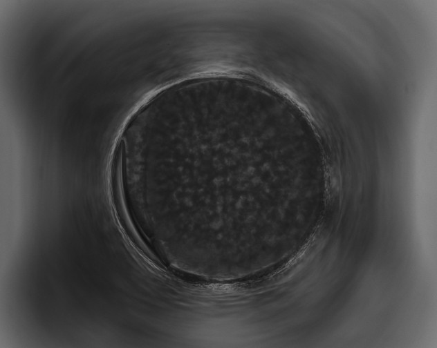 X0000097951463200803241144