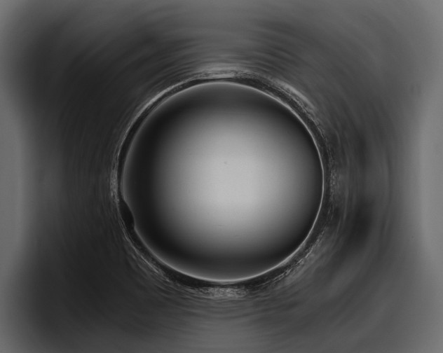 X0000097951465200803241144