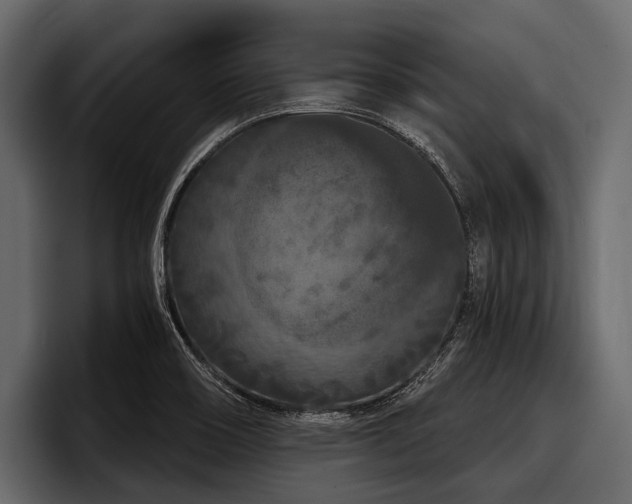 X0000097951466200803241144
