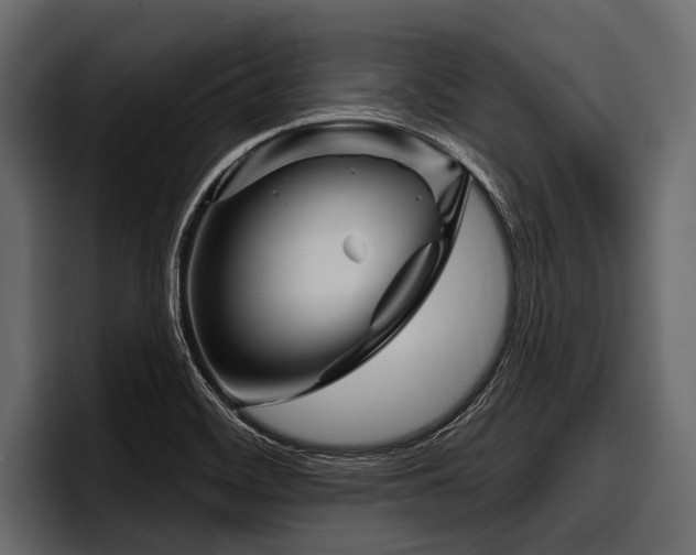 X0000097951468200803241144