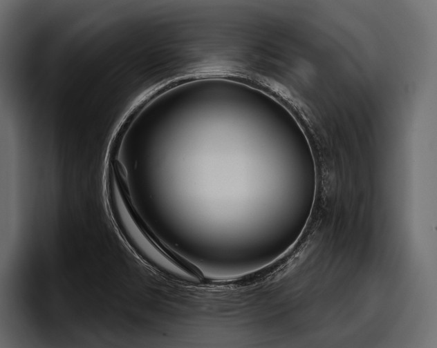 X0000097951469200803241144