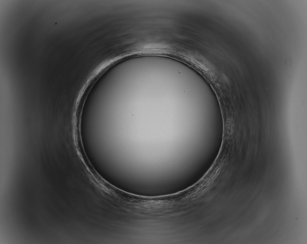 X0000097951470200803241144