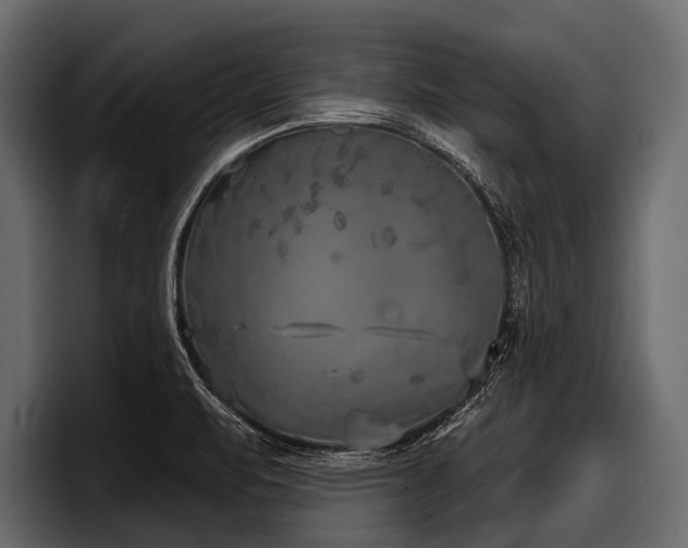 X0000097951471200803241144