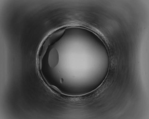 X0000097951472200803241144