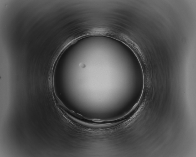 X0000097951473200803241144