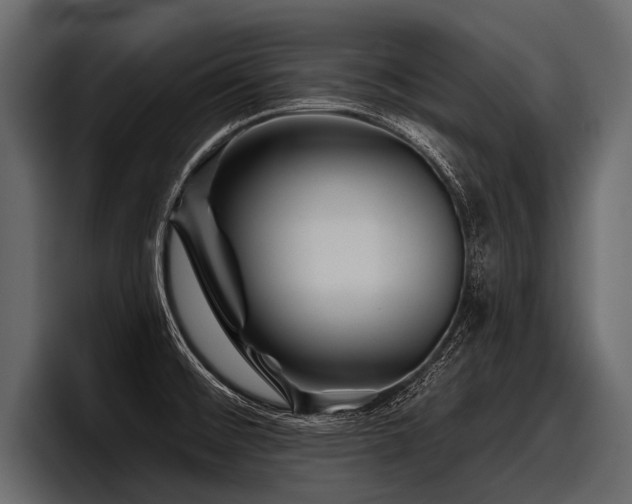 X0000097951476200803241144