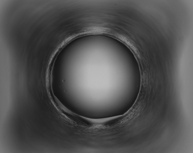X0000097951477200803241144