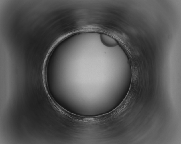 X0000097951478200803241144