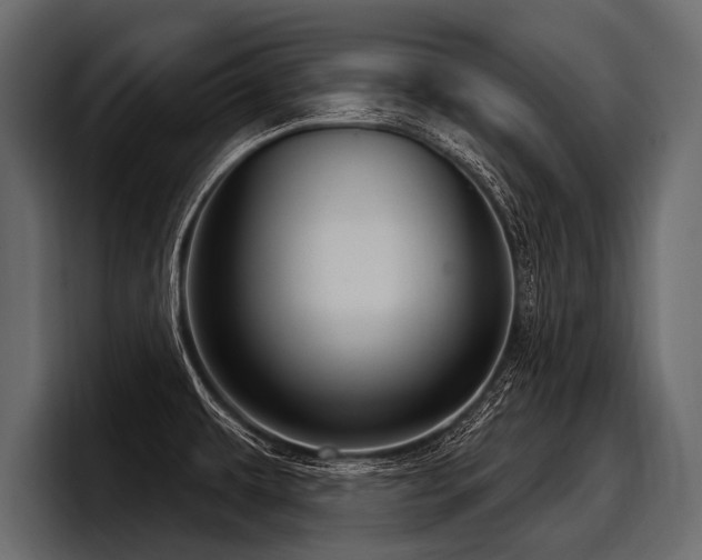 X0000097951479200803241143