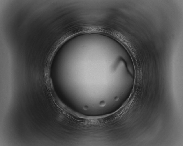 X0000097951481200803241143