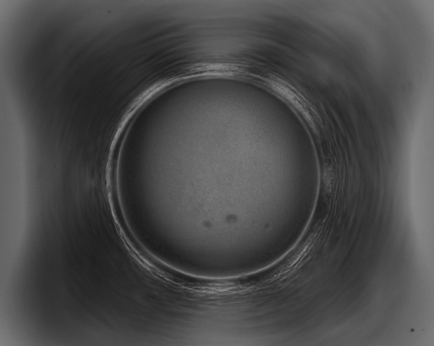 X0000097951482200803241143