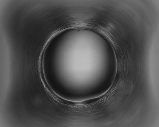 X0000097951483200803241143
