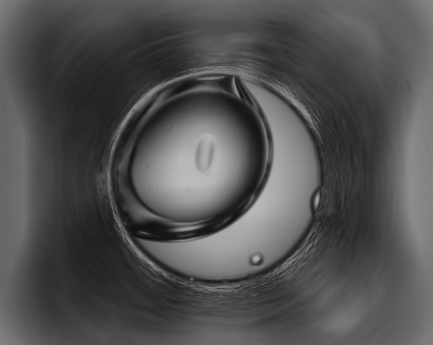 X0000097951484200803241143