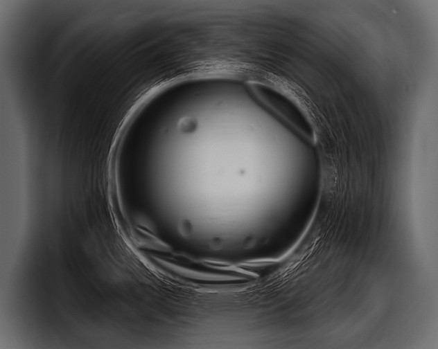 X0000097951487200803241143