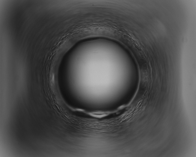 X0000097951489200803241143