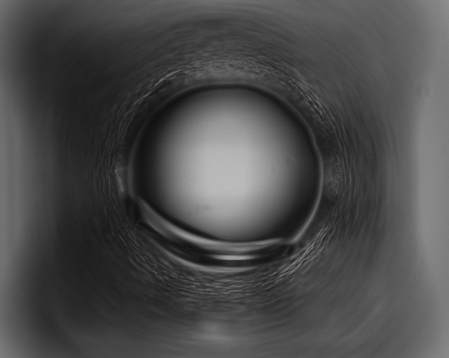 X0000097951490200803241143