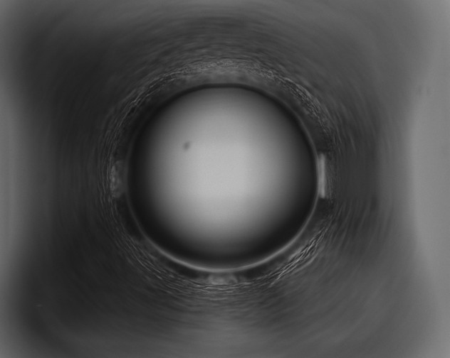 X0000097951491200803241143