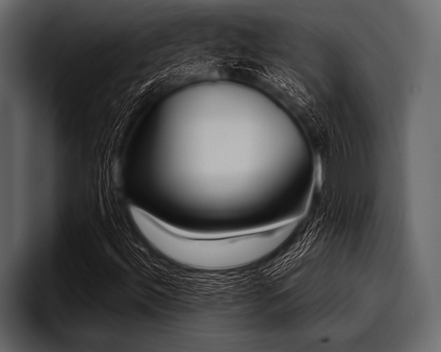 X0000097951492200803241143
