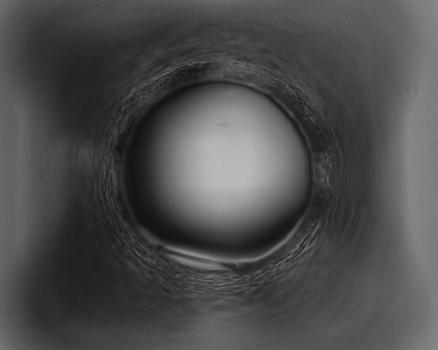 X0000097951493200803241143