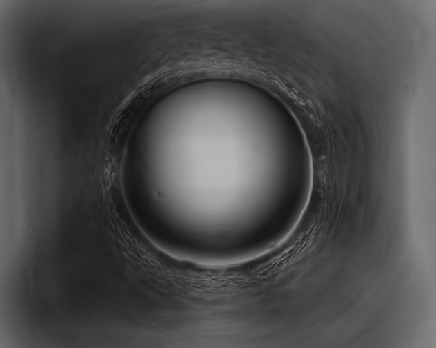 X0000097951495200803241143
