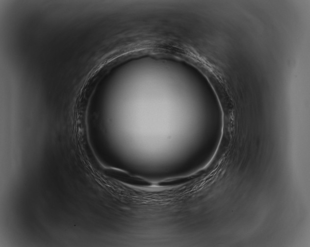 X0000097951496200803241143
