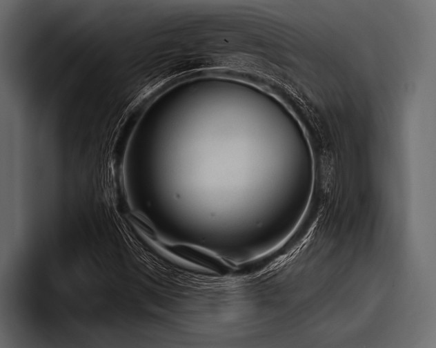 X0000097951497200803241143