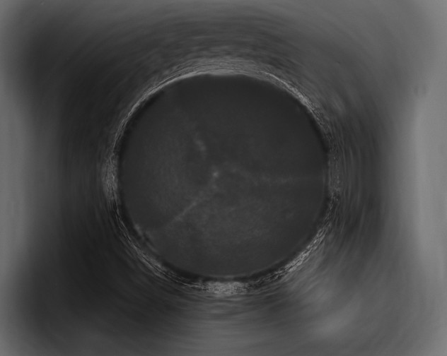 X0000097951498200803241143