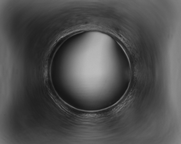 X0000097951499200803241143