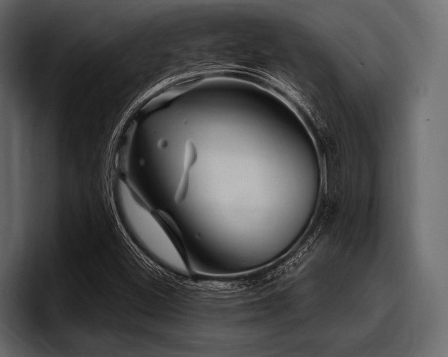 X0000097951500200803241143