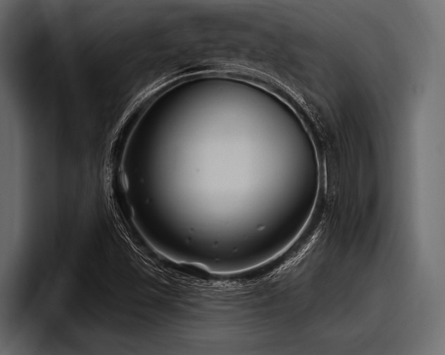 X0000097951501200803241143