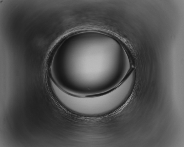 X0000097951502200803241143